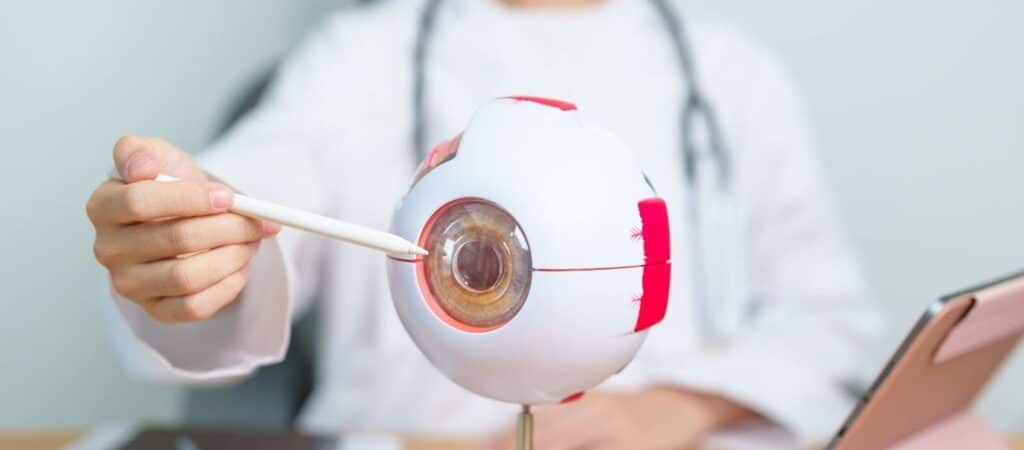 A doctor points to a large eye model with a pen, explaining its structure, while seated at a desk with a tablet in the background.